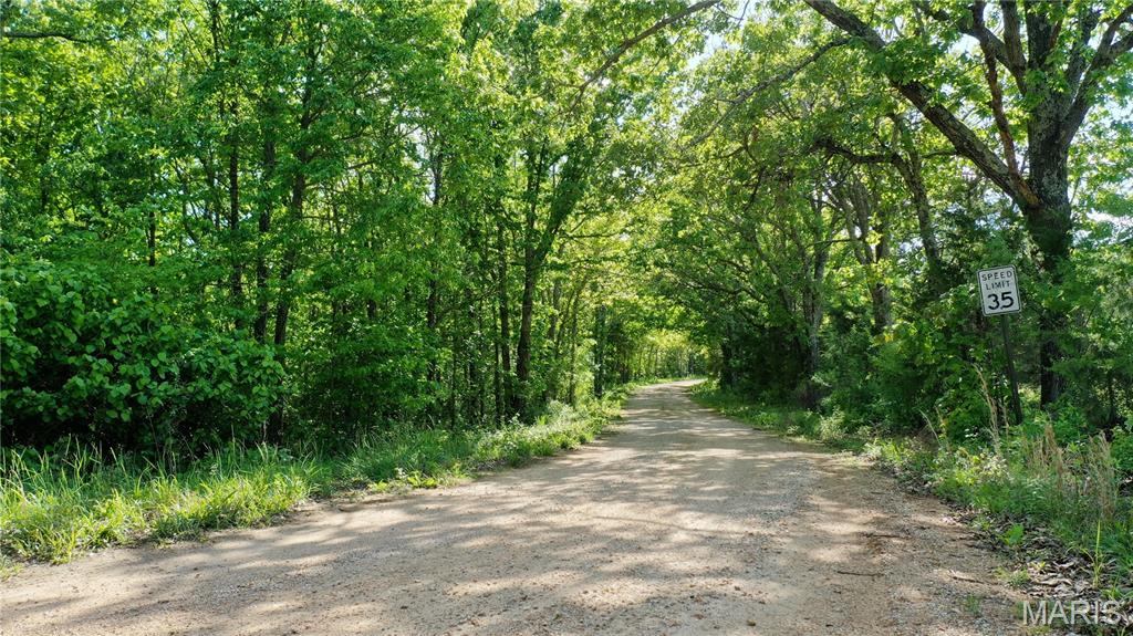 Tract 3 County Rd 4215, Salem MO