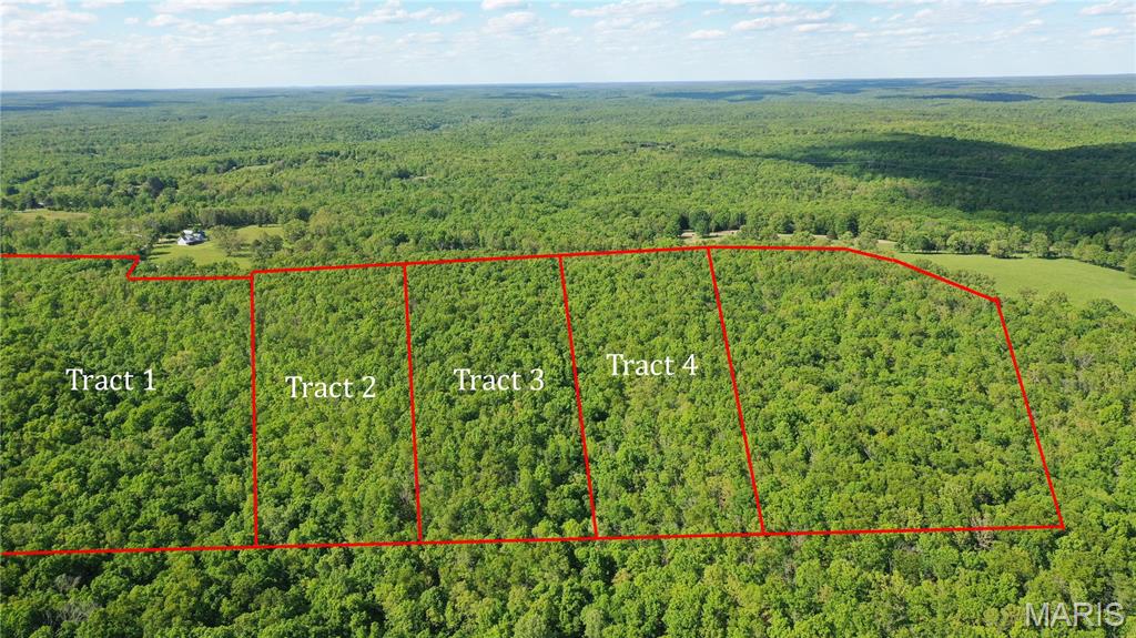 Tract 4 County Rd 4215 Salem Missouri home for sale listed at $48,900