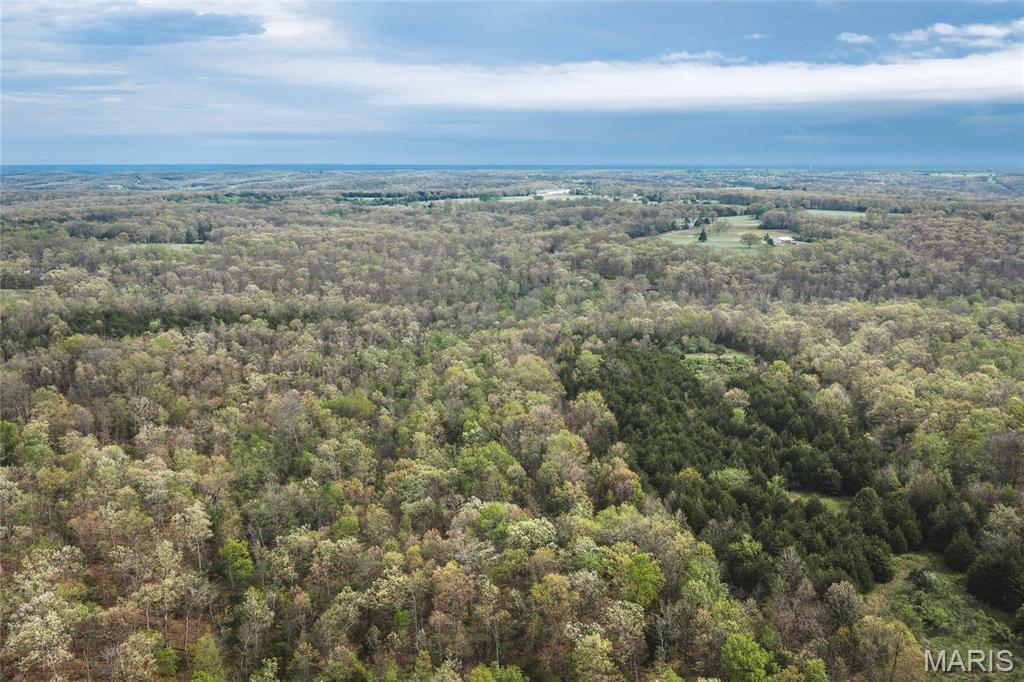 Tract 2 Cleavesville Road Bland Missouri home for sale listed at $2,500