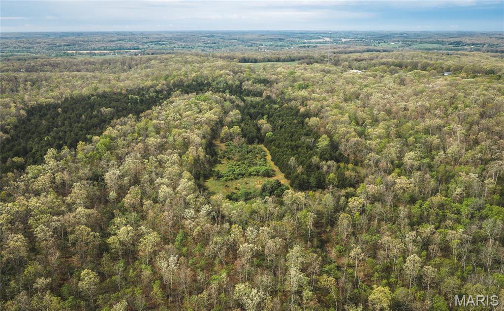 Tract 3 Cleavesville Road Bland Missouri home for sale listed at $2,500