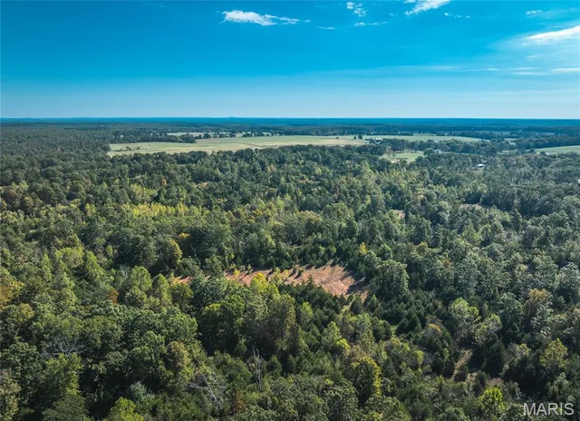 Front exterior — Lot 2 State Route J Newburg Missouri real estate