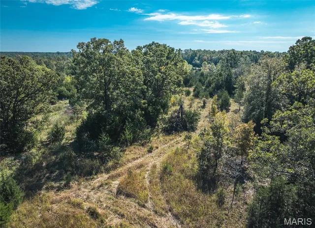 Kitchen — Lot 4 Clementine Road Newburg Missouri real estate