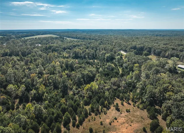 Primary bedroom — Lot 4 Clementine Road Newburg Missouri real estate