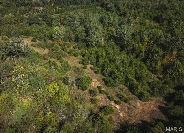 Front exterior — Lot 5 Clementine Road Newburg Missouri real estate