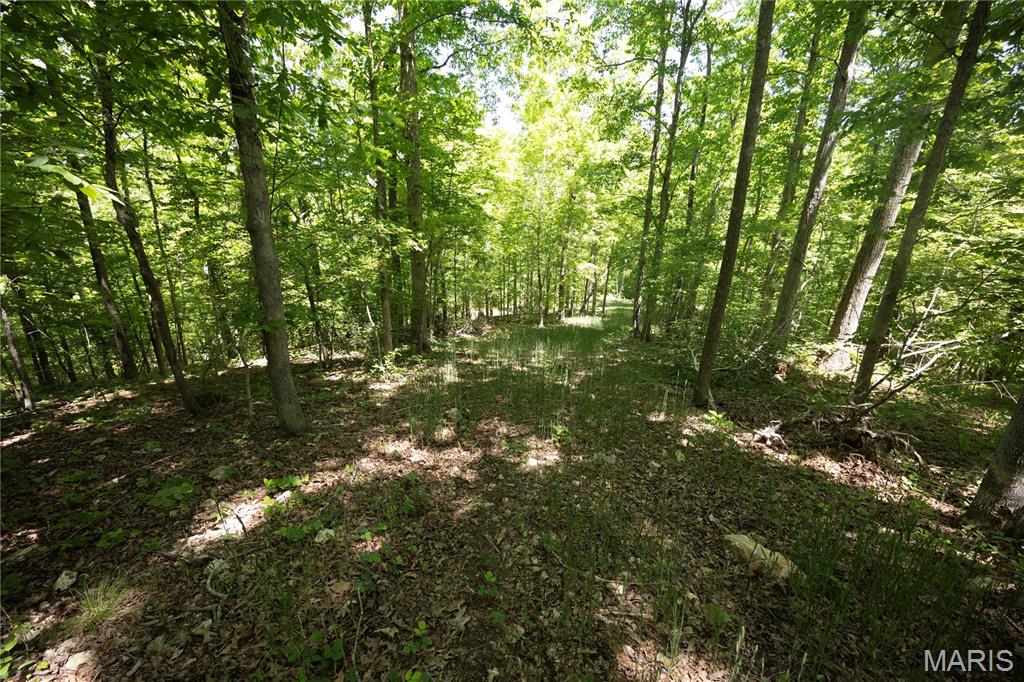 Tract 5 BCR 930 Patton Missouri home for sale listed at $144,730