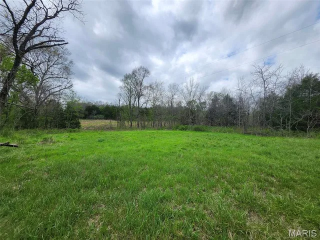 Front exterior — 0 M- County Road 14-252 Drury Missouri real estate