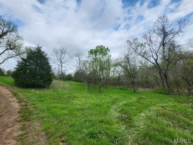 Front exterior — 0 M- County Road 250-80 Drury Missouri real estate