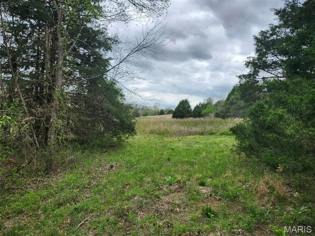 Front exterior — 000 M- County Road 250-163 Drury Missouri real estate