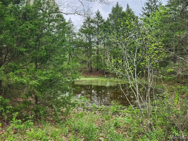 Primary bedroom — 000 M- County Road 250-163 Drury Missouri real estate