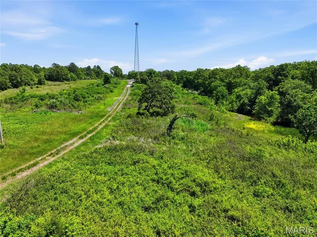 2810 County Road 2390, Mountain View MO real estate