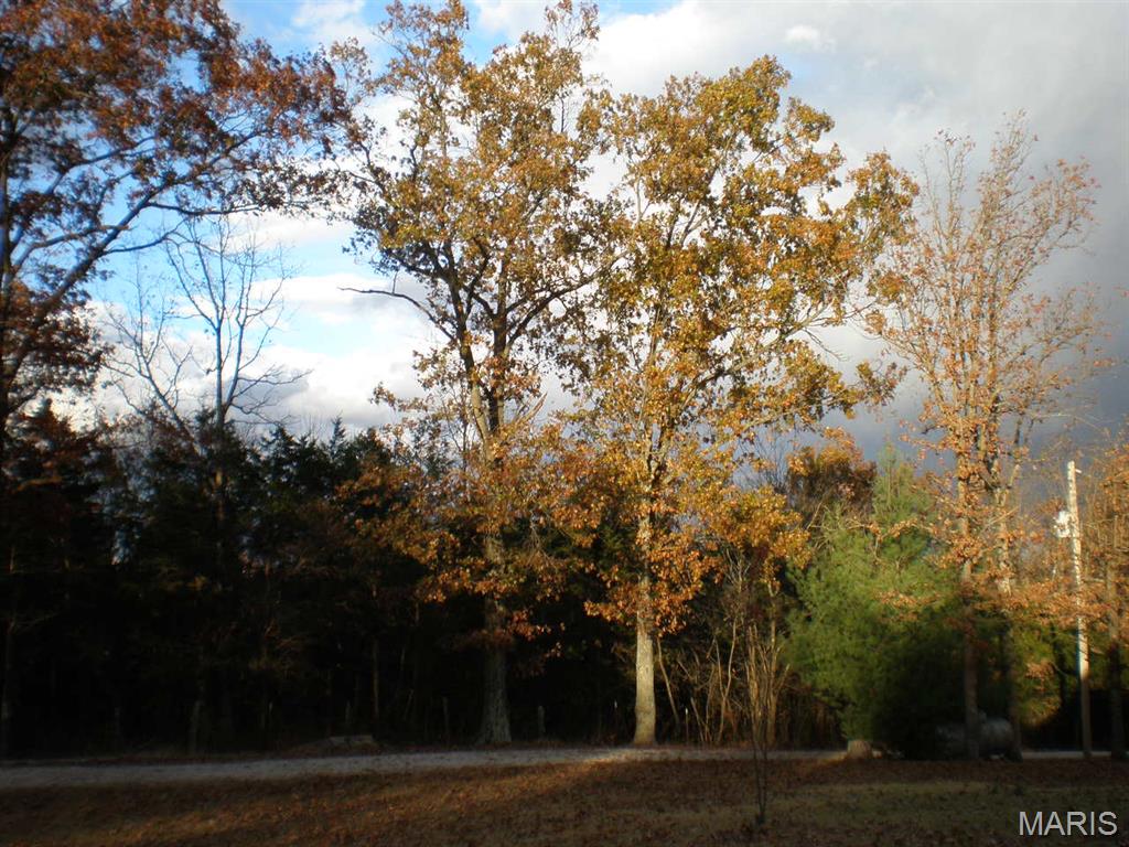 Photo 53