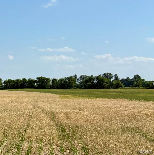 0 S Highway BB East Prairie Missouri home for sale listed at $918,000