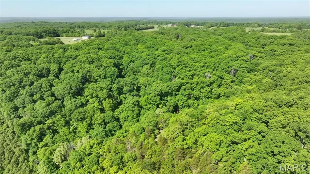 Front exterior — 43 +/- Ac Hagedorn Lane New Florence Missouri real estate