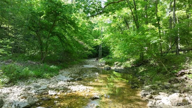 Living room — 43 +/- Ac Hagedorn Lane New Florence Missouri real estate