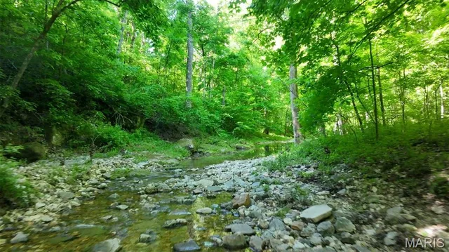 Primary bedroom — 43 +/- Ac Hagedorn Lane New Florence Missouri real estate