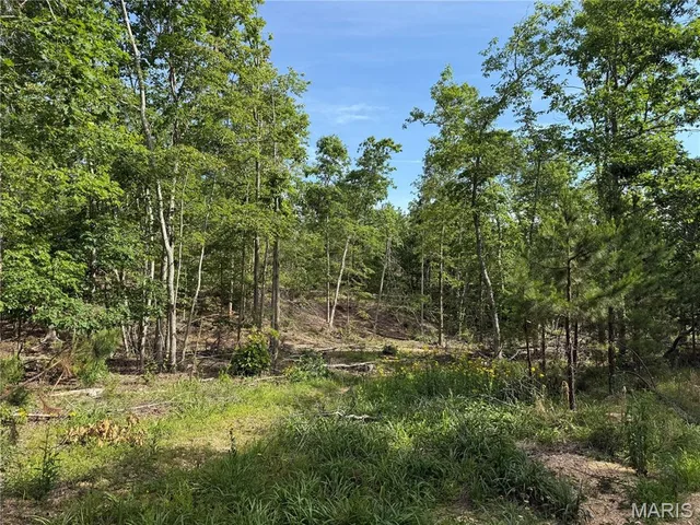 Primary bedroom — Tract 1 Hidden Valley Annapolis Missouri real estate