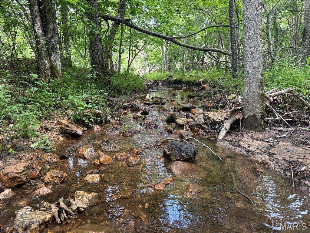 Tract 3 Hidden Valley Annapolis Missouri home for sale listed at $158,000