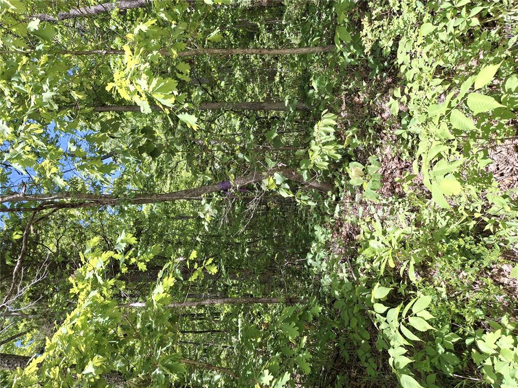 0 County Road 924 Bunker Missouri home for sale listed at $168,000