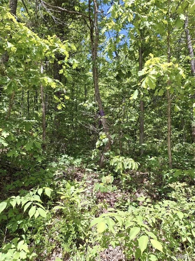 0 County Road 924, Bunker MO