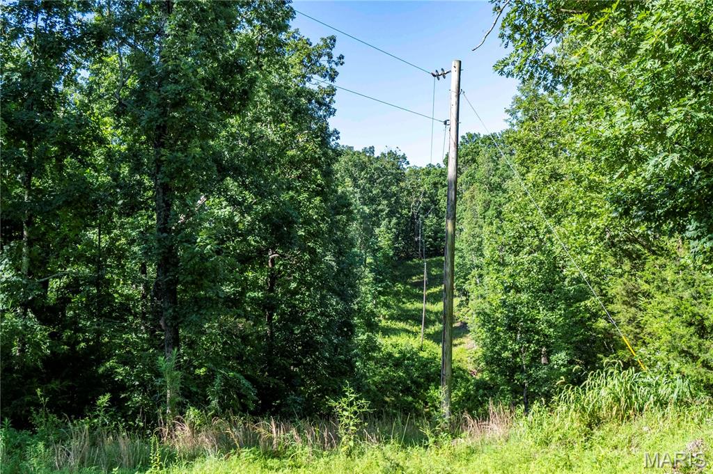 Photo 31