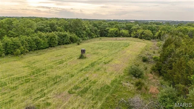 24435 Audrain Road 350 Road, Mexico MO real estate