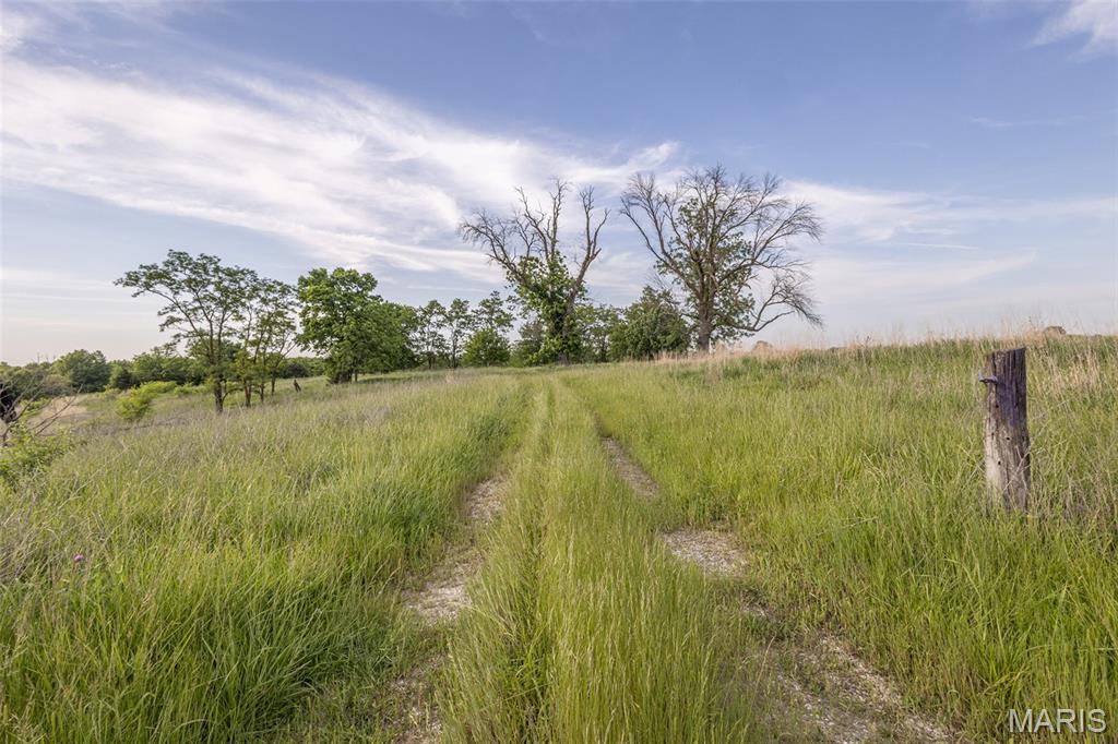 Photo 42