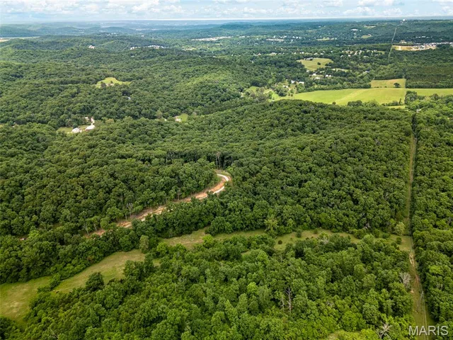 Primary bedroom — 6011 Hidden Acres Road Unincorporated Missouri real estate