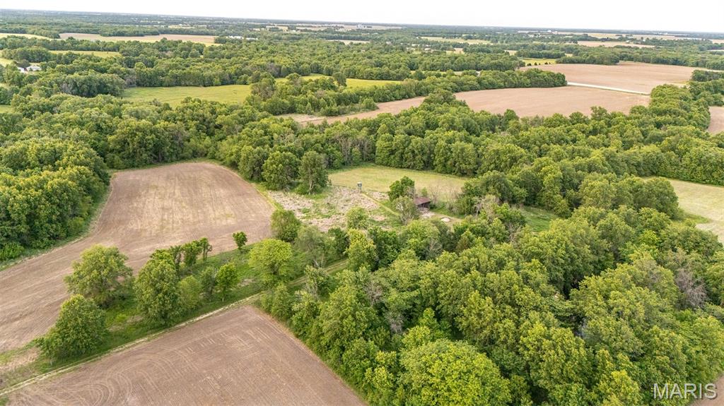 Photo 22