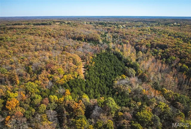 Living room — 43 +/- Acres TBD Highway H Gerald Missouri real estate
