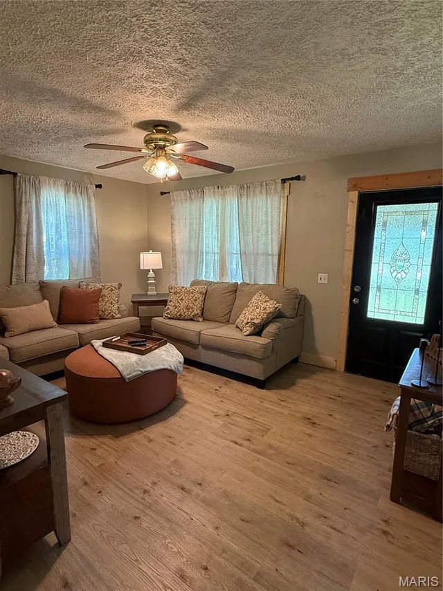 Living room — 14766 Boiling Springs Rd Licking Missouri real estate