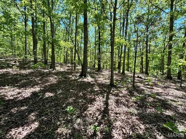Primary bedroom — 0 Turkey Foot Road Bourbon Missouri real estate