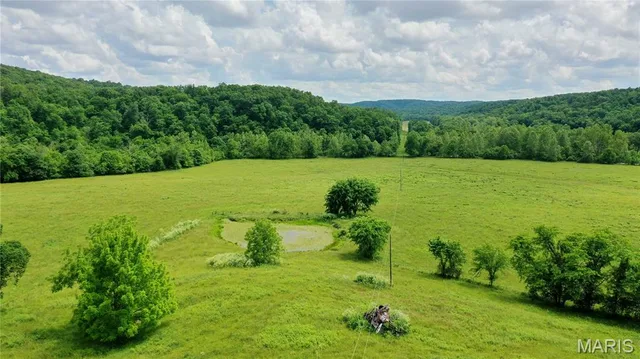 0 County Road 264A, Salem MO real estate