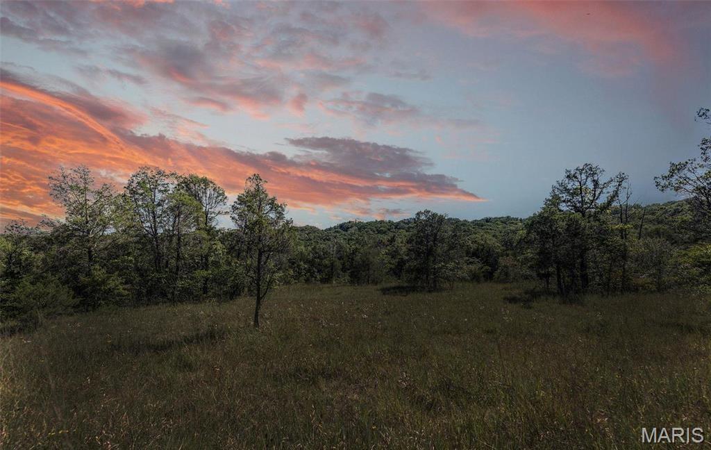 43 acres +/- Recreational/ Hunting Ground, Dittmer MO