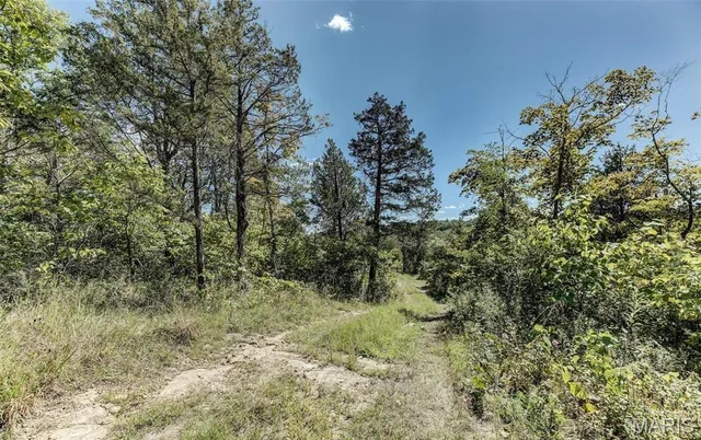 Living room — 43 acres +/- Recreational/ Hunting Ground Dittmer Missouri real estate