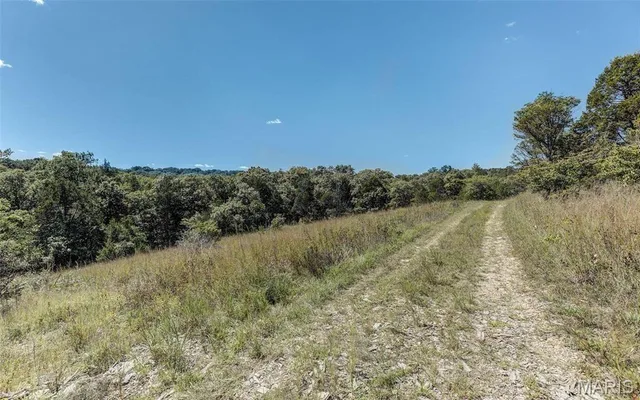 Kitchen — 43 acres +/- Recreational/ Hunting Ground Dittmer Missouri real estate