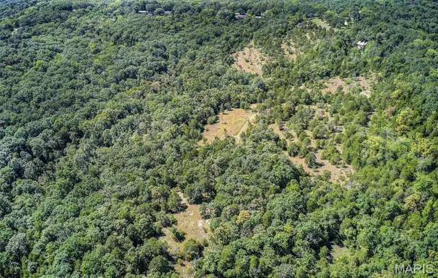 Primary bedroom — 43 acres +/- Recreational/ Hunting Ground Dittmer Missouri real estate