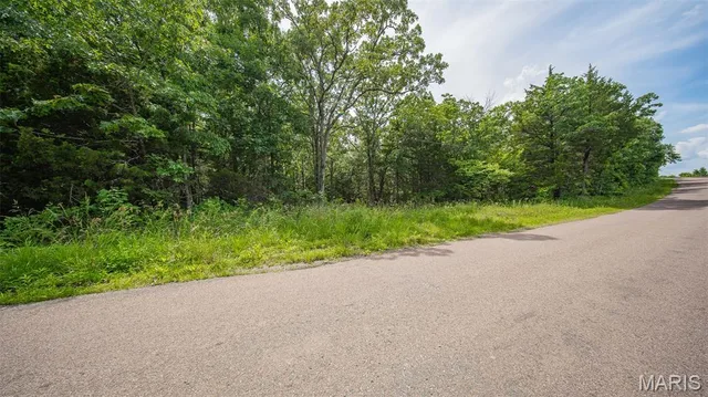 Living room — 0 21.72 acres County Road 8240 Rolla Missouri real estate