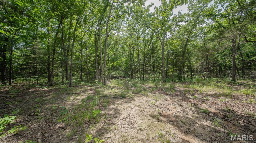 0 21.72 acres County Road 8240 Rolla Missouri home for sale listed at $159,900