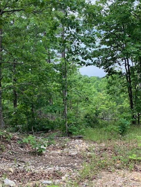 239 Madison CR 410 Fredericktown Missouri home for sale listed at $39,595