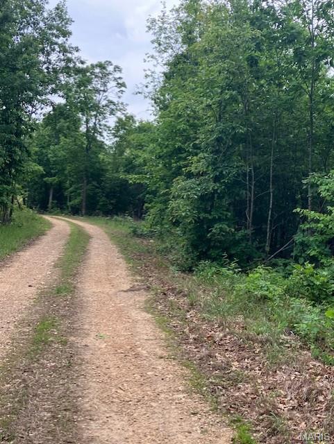Front exterior — 239 Madison CR 410 Fredericktown Missouri real estate