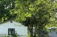 Front exterior — 101 Thompson Street Iberia Missouri real estate