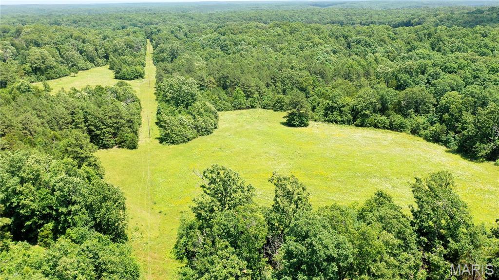 0 CR 5400 Salem Missouri home for sale listed at $295,000