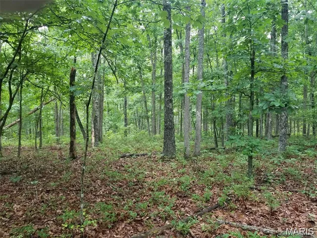 Kitchen — Lots 13 & 14 Hickory Ridge Steelville Missouri real estate