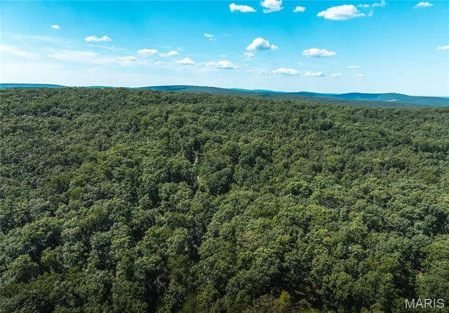 Primary bedroom — 3 Buck Mountain Road Doe Run Missouri real estate