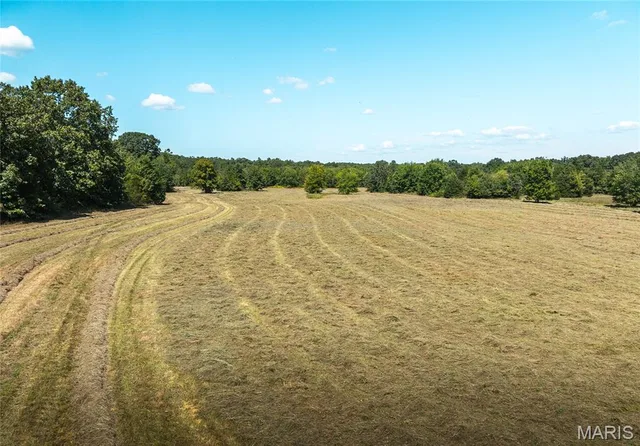 Front exterior — 4 Buck Mountain Road Doe Run Missouri real estate