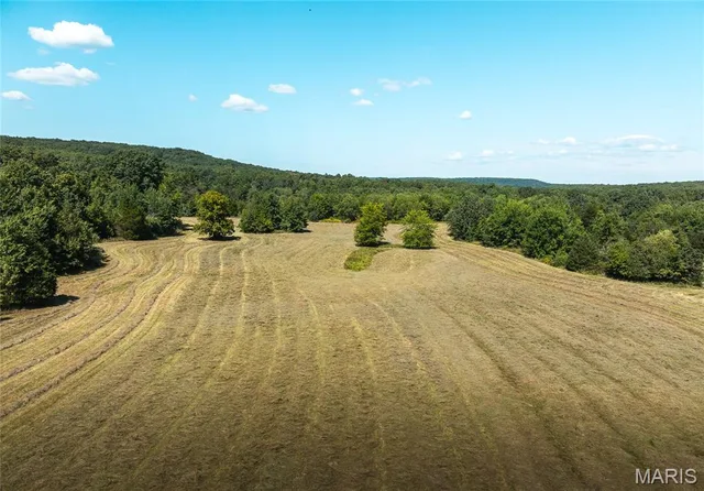 Primary bedroom — 4 Buck Mountain Road Doe Run Missouri real estate