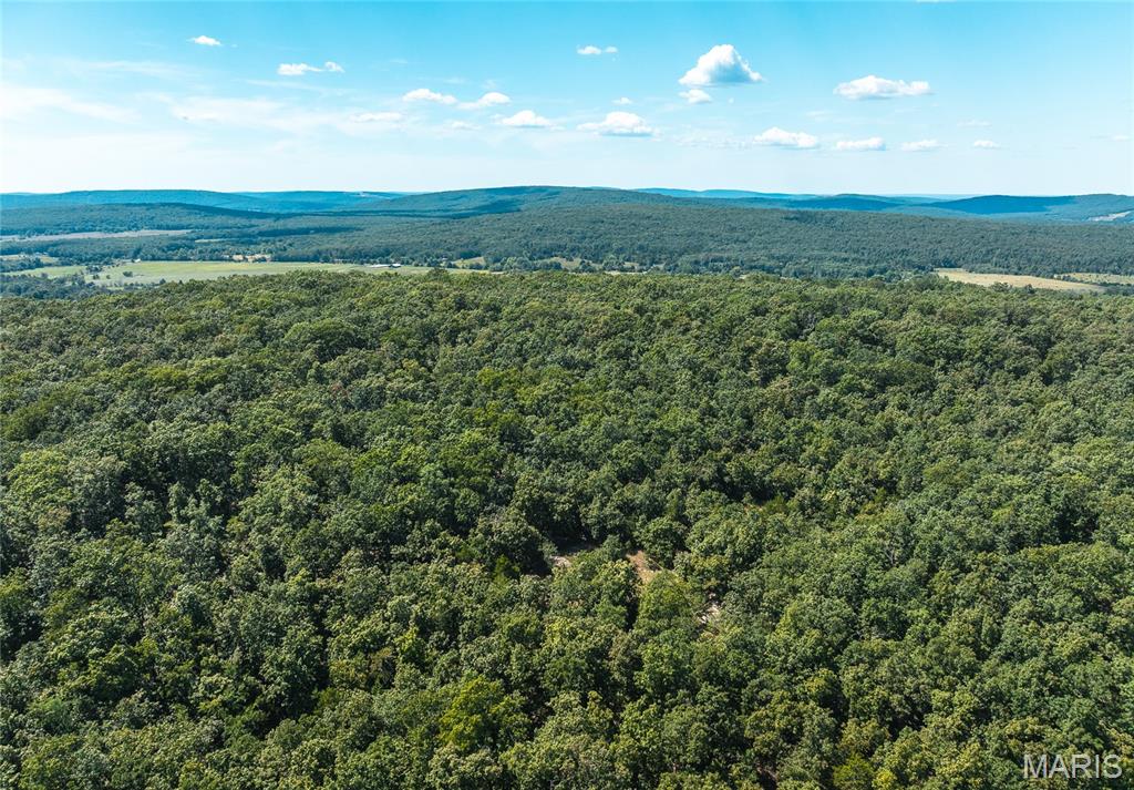 5 Buck Mountain Road Doe Run Missouri home for sale listed at $219,999