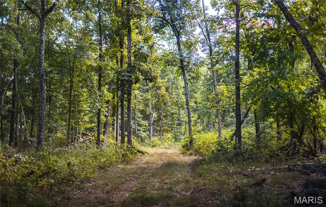 Kitchen — 5 Buck Mountain Road Doe Run Missouri real estate