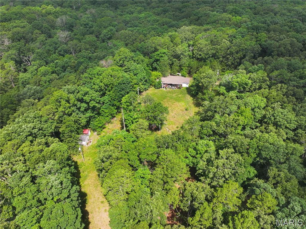 9.6 ac +/- W Off Hwy Tt Poplar Bluff Missouri home for sale listed at $80,000