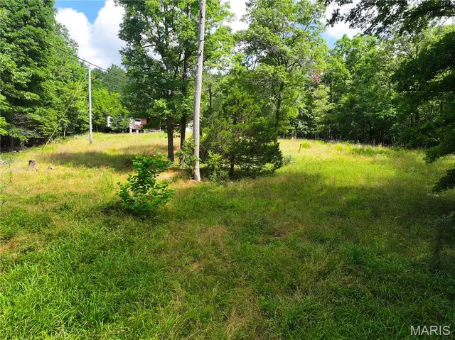 Primary bedroom — 9.6 ac +/- W Off Hwy Tt Poplar Bluff Missouri real estate